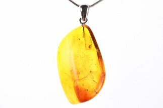 Polished Baltic Amber Pendant (Necklace) - Contains Flies & Mite #273467
