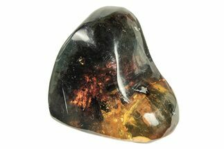 Polished Chiapas Amber ( g) - Mexico #274414