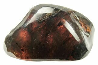 Polished Chiapas Amber ( g) - Mexico #274429