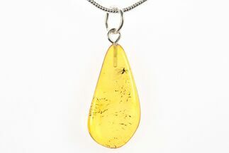 Polished Baltic Amber Pendant (Necklace) - Contains Fly! #275898