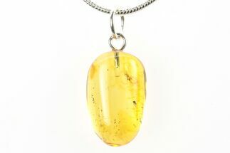 Polished Baltic Amber Pendant (Necklace) - Contains Fly & Wasp! #275928