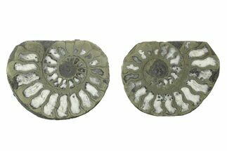 Pyritized Cut Ammonite Fossil Pair - Morocco #276657