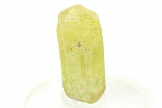 Gemmy Yellow-Green Apatite Crystal - Morocco #276500