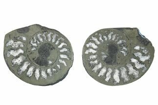 Pyritized Cut Ammonite Fossil Pair - Morocco #276621
