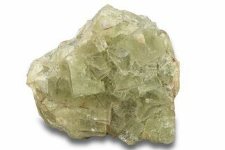 Fluorescent, Green Cubic Fluorite Crystal Cluster - Morocco #277399