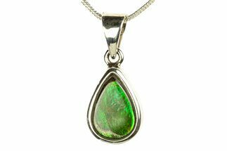 Stunning Ammolite Pendant (Necklace) - Sterling Silver #279982
