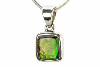 Stunning Ammolite Pendant (Necklace) - Sterling Silver #280010
