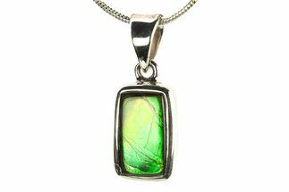 Stunning Ammolite Pendant (Necklace) - Sterling Silver #280016