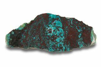 Colorful Chrysocolla and Shattuckite Slab - Mexico #280135
