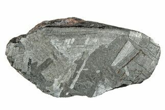 Mundrabilla Iron Meteorite Section (g) - Australia #280657