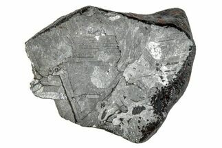 Etched Mundrabilla Iron Meteorite Section ( g) - Australia #280658