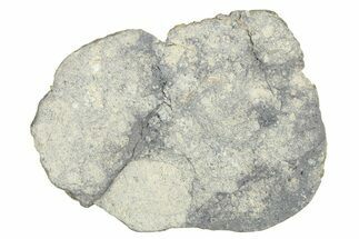 Eucrite Meteorite Slice ( g) - From Vesta Minor-Planet #280638