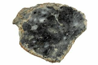 Lunar Meteorite Section ( g) - Bechar #280812
