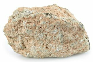 Martian Shergottite Meteorite ( g) - NWA #280952