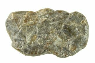 Lunar Meteorite ( g) - Laayoune #281579