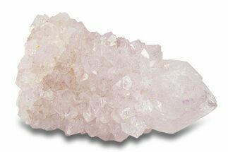 Cactus Quartz (Amethyst) Crystal - South Africa #281895