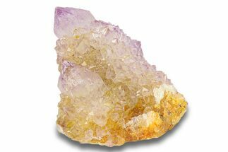 Cactus Quartz (Amethyst) Crystal Cluster - South Africa #281899
