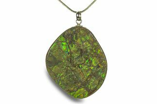Brilliant Ammolite Pendant (Necklace) - Alberta, Canada #282460