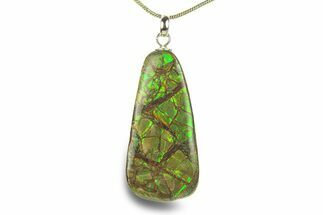 Brilliant Ammolite Pendant (Necklace) - Alberta, Canada #282470