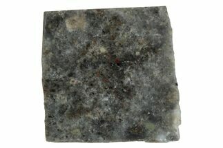 Lunar Meteorite Slice ( g) - NWA #283590