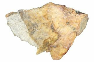 Aubrite Meteorite Fragment - Djoua #283644