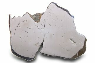 Gebel Kamil Iron Meteorite Slice ( g) - Egypt #284538