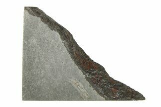Balambala Iron Meteorite Slice ( g) - Rare IIF Iron #284611