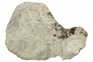 Eucrite Meteorite Slice ( g) - Jikharra #284822