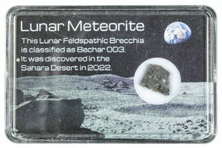 Polished Lunar Meteorite Slice ( g) - Bechar #285182
