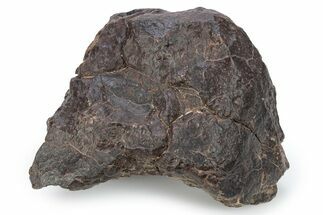 Chondrite Meteorite ( g) - Western Sahara Desert #285384