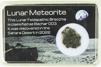 Polished Lunar Meteorite Slice ( g) - Bechar #285297