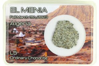 L Chondrite Meteorite ( g) Slice - El Menia #285479