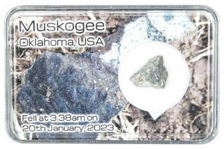 Chondrite Meteorite Hammer Stone ( g) - Muskogee #286104