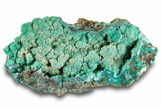 Forest Green Conichalcite on Chrysocolla - Namibia #285073