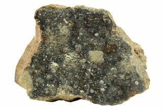 Polished Howardite Meteorite Section ( g) - Bechar #286926