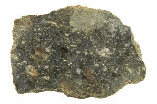 Polished Howardite Meteorite Section ( g) - Bechar #286942