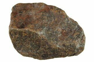 Canyon Diablo Iron Meteorite ( g) - Arizona #287695