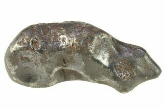Fusion Crusted Sikhote-Alin Iron Meteorite ( g) - Russia #287850