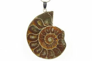 Fossil Ammonite Pendant - Million Years Old #288021