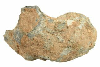 Lunar Meteorite ( g) - Bechar #288471