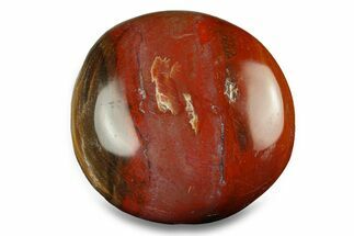 Polished Triassic Petrified Wood Palm Stone - Madagascar #289768