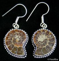 Cut And Polished Ammonite Earrings #2679
