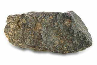 Abadla CM Chondrite Meteorite ( g) - Algeria #291470