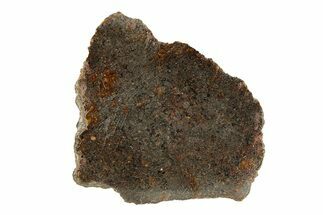 Polished Rafsa Angrite Meteorite Slice ( g) - Algeria #291752