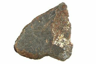 Polished Rafsa Angrite Meteorite Slice ( g) - Algeria #291768