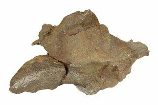 Gebel Kamil Iron Meteorite ( g) - Egypt #291803