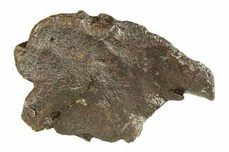 Gebel Kamil Iron Meteorite ( g) - Egypt #291825