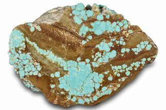 Polished Turquoise Section - Number Mine, Carlin, NV #292307