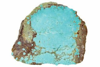 Polished Turquoise Slab - Number Mine, Carlin, NV #292311