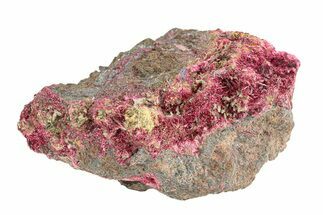 Fibrous, Magenta Erythrite Cluster - Morocco #291162